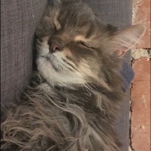 Meet your Posher, Natalia